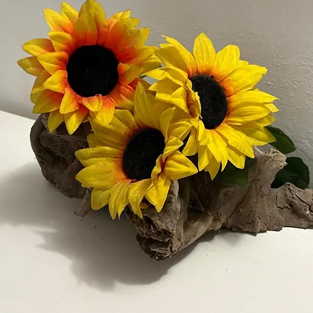 Dimora Girasole Apartamento *