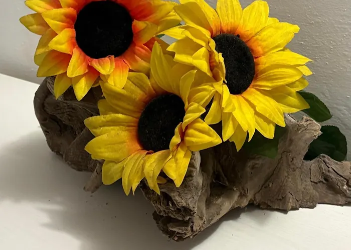 Dimora Girasole Apartamento *